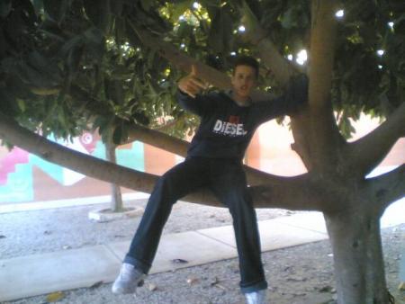 moi  a  faisal
